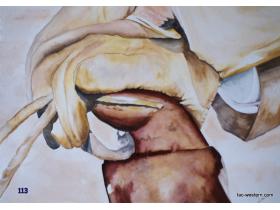 photo coins arrondis